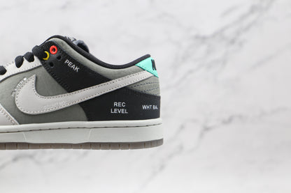 dunk Low “Camcorder”