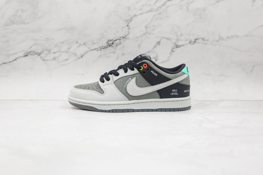 dunk Low “Camcorder”